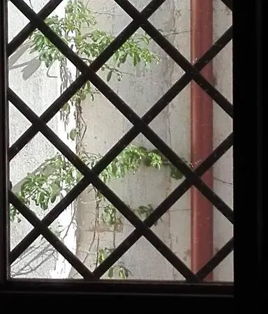 Dimora Tipica Del 600 - Centro Storico 加利波利