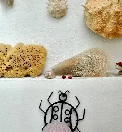 Dimora Tipica Del 600 - Centro Storico * 加利波利