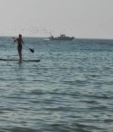 Dimora Tipica Del 600 - Centro Storico * 加利波利